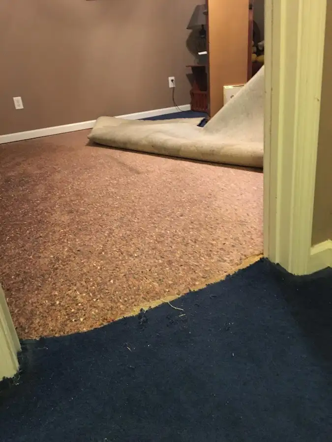 Carpet pad removal revealing water damage during Drying & Dehumidification in Cameron Park