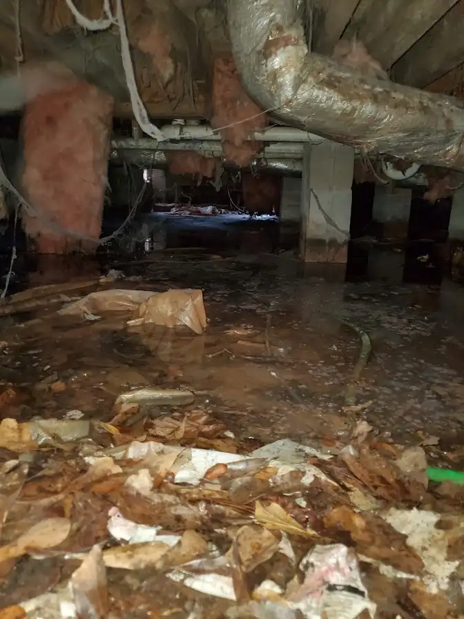 Crawl space flood assessment for Leak Detection & Repair in Cameron Park